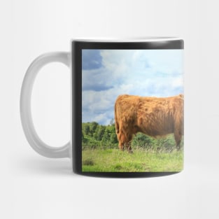 Highland cow on a sunny day Mug